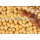 Soybean Oligosaccharide