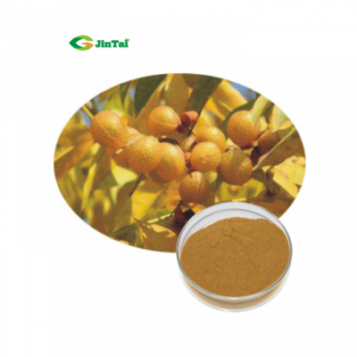 Plant Sapindus Mukorossi Fruit Soap Berry Extract Soap Nut Berries Wholesale Soapnut Saponin Soapberry Extract Powder