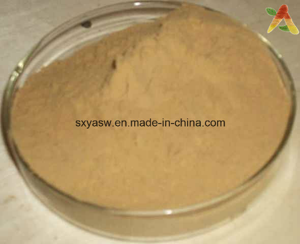 Nattokinase CAS No 133876-92-3 Natto Extract