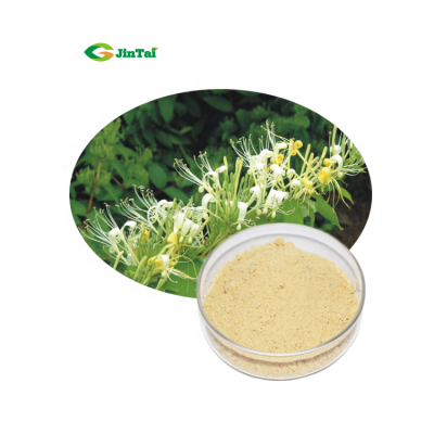 high quality lonicera japonica honeysuckle flower extract 5% chlorogenic acids