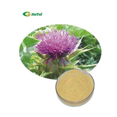 Natural Silybum silybum marianum extract  Milk thistle extract powder 80% silymarin