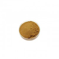 Manufacturer direct supply with rhodiola rosea extract salidroside no plastifier